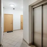 One Bedroom Sunny Tallinn Street With Parking Riga